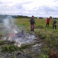Maharaiutud kadakatest sai suure uhke lõkke