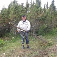 Jämedamate tüvedega puud läksid aiateivasteks