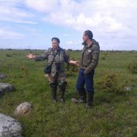 Ilona konnajuttu vestmas