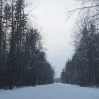 Illuka Varjupaigataotlejate Vastuvõtukeskus (Illuka VVK) asub keset metsa Vene piiri ääres Ida-Virumaal Jaama külas. Vaata asukohta Google Maps-ist siit: http://tinyurl.com/7hoxp3m.